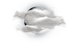Weather Now
